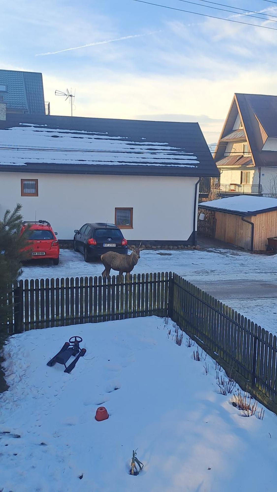 Majkowiczówka Vila Czorsztyn Exterior foto